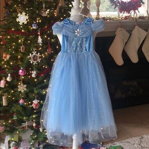Cinderella Princess Dress